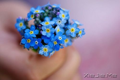若现在就觉得失望无力，未来那么远你该怎么扛 (8)