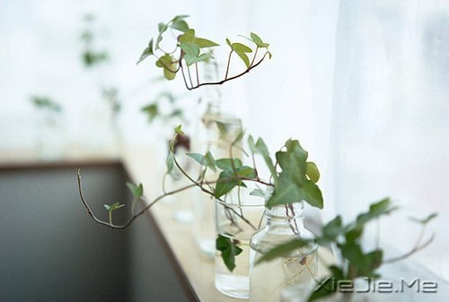 抖抖身上的尘埃，继续前行 (9)