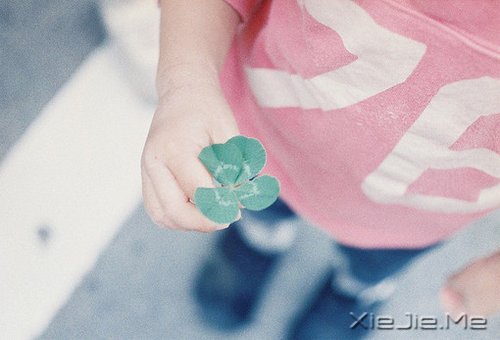晚安心语：生命必须有裂缝，阳光才能照进来 (4)