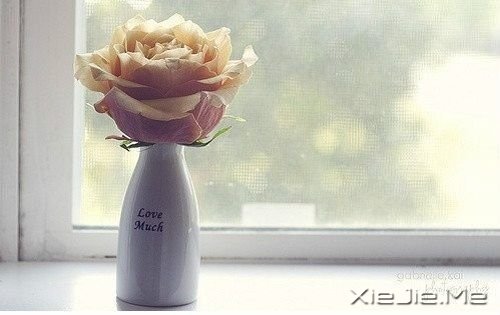 晚安心语：我的执着，是因为你值得 (5)