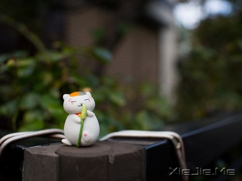早安心语：青春不是一段年华，而是一种心境 (10)