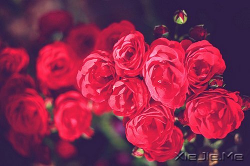 文字：夫妻之间最大的矛盾是阶级