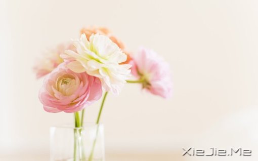 如果要选，就选你目前最中意的最中意
